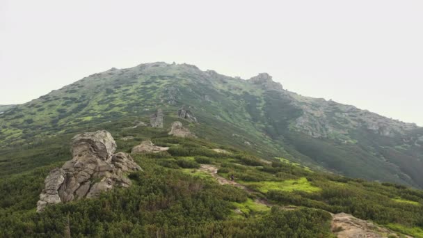 Das Bergmassiv Ist Atemberaubend Schön Mit Wunderbaren Blumen Und Moos — Stockvideo