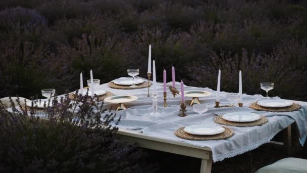 라벤더 필드의 중간에 아늑한 라운지 아름답게 설정된 테이블에는 빈티지 테이블웨어 — 비디오