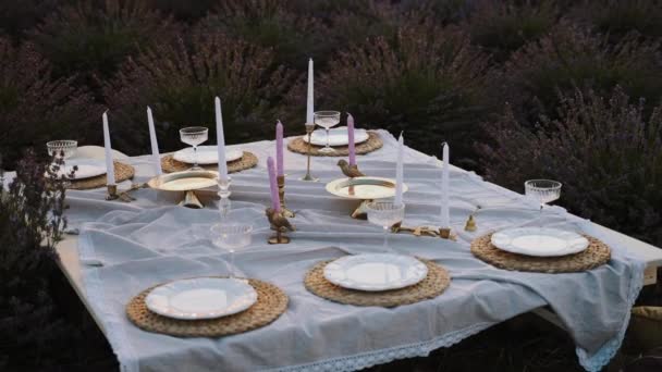 ラベンダーフィールドの真ん中に絶対的なビジュアルエクスタシー 休日のテーブル ヴィンテージ料理 エレガントなメガネなど カメラはテーブルに近づき 内容を詳細に示しています — ストック動画