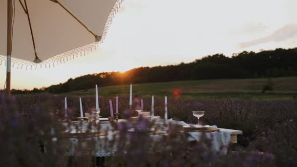 휴식을위한 파티를 아름답게 설정된 테이블은 라벤더 필드에 야외에 위치하고 있습니다 — 비디오