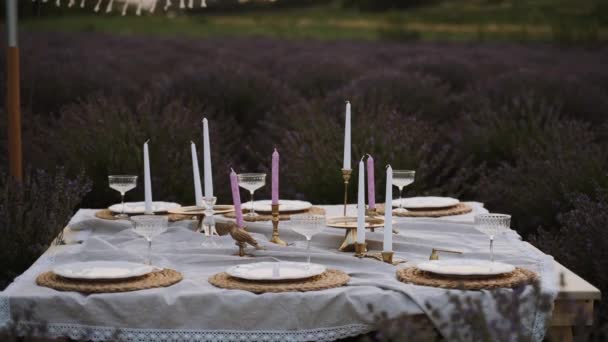 ラベンダーフィールドの真ん中にラウンジエリアがあります ヴィンテージテーブルウェア 絶妙なメガネ 珍しいキャンドルホルダー付きの美しくセットされたテーブル 小さなパーティーや誕生日のための理想的な場所 — ストック動画