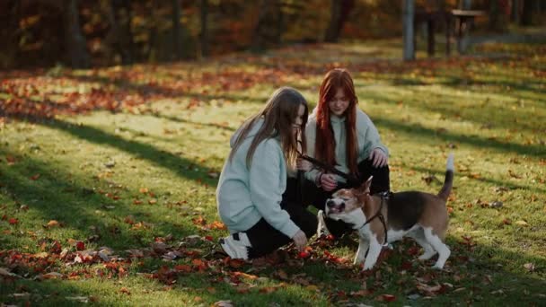 Meisjes Besloten Stoppen Voor Een Wandeling Maar Hun Hond Maakt — Stockvideo