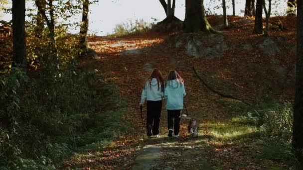 Dos Adolescentes Están Paseando Con Perro Colina Arriba Paseo Otoñal — Vídeos de Stock
