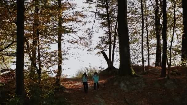 Αργότερα Δύο Έφηβοι Φαίνονται Περπατούν Σκύλο Τους Πάνω Ένα Λόφο — Αρχείο Βίντεο