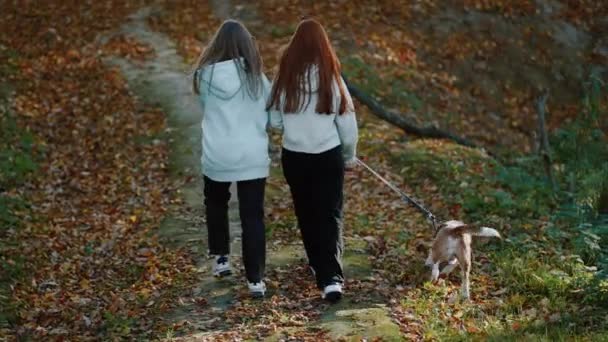 Dua Teman Berjalan Taman Dengan Seekor Anjing Anjing Itu Menoleh — Stok Video