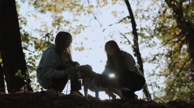 Kızlar köpekleriyle oynarlar. Bir evcil hayvanla ormanda yürüyüş. Kızlar bir köpeği okşuyor. Arka plan ışıklandırması.