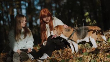Küçük bir durak. Köpekle akşam yürüyüşü. Kızlar ve köpekleri aktif bir yürüyüşten sonra dinleniyorlar, köpek ağzı açık ve dili dışarıda duruyor..