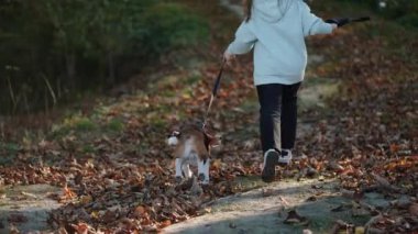 Genç bir kız parkta tasmalı bir köpekle koşuyor. Sonbaharın ortasında her yer dökülen yapraklarla kaplı..