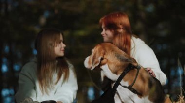 Safkan bir erkek Beagle iki genç kızın konuşmalarını dikkatle dinler. Kızlar duygusal olarak yüzlerindeki gülümsemeyle iletişim kurarlar. Kavram, evcil hayvanları sevmek..