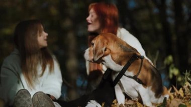 Safkan bir erkek Beagle iki genç kızın konuşmalarını dikkatle dinler. Kızlar yüzlerindeki gülümsemeyle duygusal iletişim kurarlar..