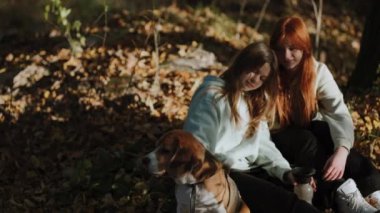 Genç kızlar sevimli köpekleriyle dinleniyorlar. Ormanda etkin bir yürüyüşten sonra kısa bir mola. Kızlar köpeklerinin sırtını okşar ve sohbetin tadını çıkarırlar..