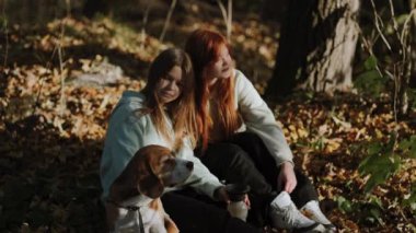 Ormanda etkin bir yürüyüşten sonra kısa bir mola. Genç kızlar sevimli köpekleriyle dinleniyorlar. Kızlar köpeklerinin sırtını okşar ve sohbetin tadını çıkarırlar..