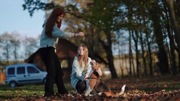 Дівчата Показують Собаці Щось Руці Після Чого Він Стоїть Двох — стокове відео