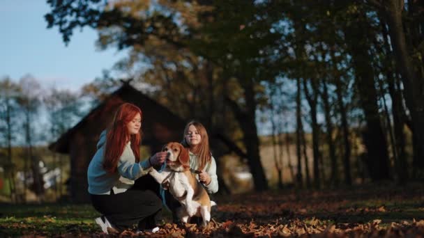 Κορίτσια Δείχνουν Στο Σκύλο Ότι Έχουν Κάτι Στο Χέρι Τους — Αρχείο Βίντεο