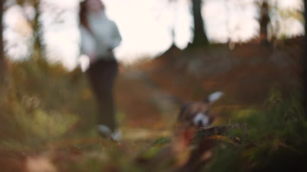 Ein Mädchen Mit Hund Läuft Auf Verschwommenem Hintergrund Der Hund — Stockvideo