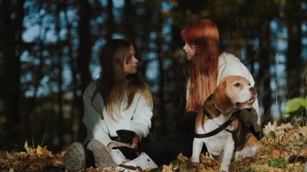 Απίστευτα Όμορφη Σκηνή Έφηβα Κορίτσια Και Χαριτωμένο Σκυλί Τους Ξεκουράζονται — Αρχείο Βίντεο
