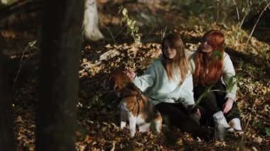 Köpekli gençler, düşen yapraklarla kaplı bir sonbahar ormanının ortasında oturuyorlar. Batan güneş özel bir sıcaklık ve konfor atmosferi yaratır. Hayvan severler hakkında harika bir kavram.