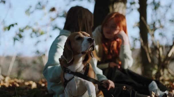 Εφηβικά Κορίτσια Και Σκύλος Τους Κάθονται Στην Άκρη Του Δάσους — Αρχείο Βίντεο
