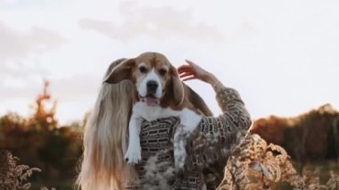 Kız komik köpeğini kollarında taşıyor. Batan güneşin ışınları inanılmaz bir sonbahar atmosferi yaratır. Bir kız onu havaya fırlattığında sevimli ve yakışıklı bir erkek Beagle komik görünür.