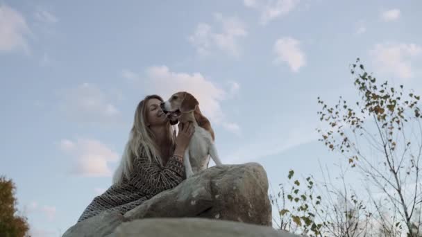 Beautiful Woman Enjoys Company Her Pet Beagle Dog Woman Petting — Stock Video