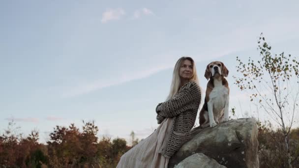 一个年轻纯洁的比格尔陪着一个漂亮的年轻女子坐在大石头上 一个晚上和你的宠物散步 狗向远处看去 狗是人类最好的朋友 — 图库视频影像