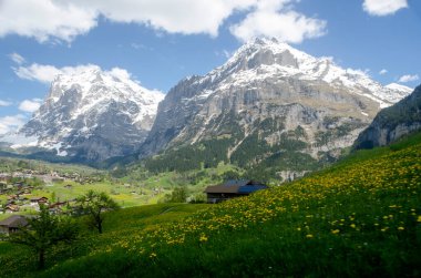 Beautiful landscape with snowy mountains and green fields