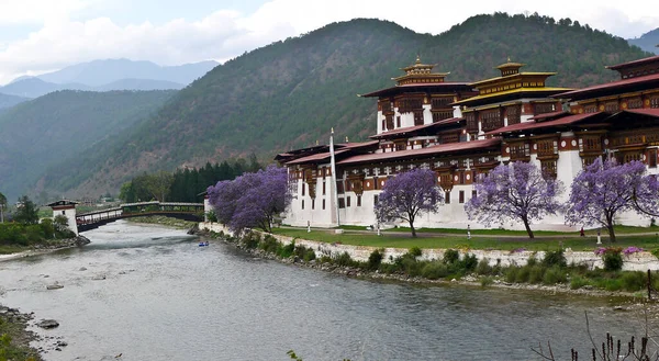 Nehir kıyısındaki Budist tapınağı