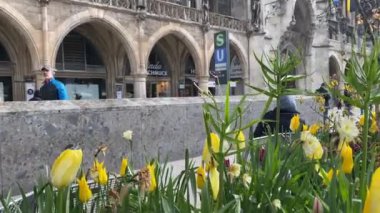 Yeni Belediye Binası Neues Rathaus, Münih, Bavyera, Almanya 'da Marienplatz' ın kuzey kesiminde bir belediye binası.