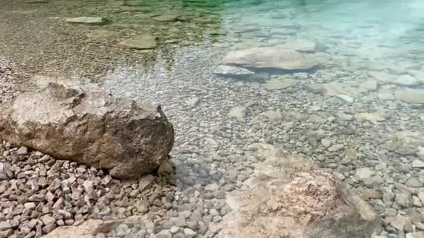 Jezero Eibsee Bavorsku Německo Zelenými Vodami Okolními Jedlemi — Stock video