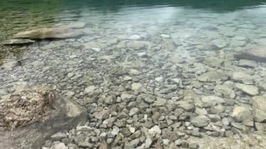 Almanya, Bavyera 'daki Eibsee Gölü yeşil suları ve çevreleyen köknar ağaçları ile.