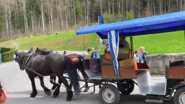 Άλογο Που Carraiage Παίρνει Τους Ανθρώπους Στο Κάστρο Neuschwanstein Παλάτι — Αρχείο Βίντεο