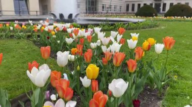 Berlin, Almanya 'daki Pariser Platz' da Çeşme