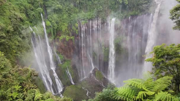 Tumpak Sewu Também Conhecido Como Coban Sewu Uma Cachoeira Camadas — Vídeo de Stock