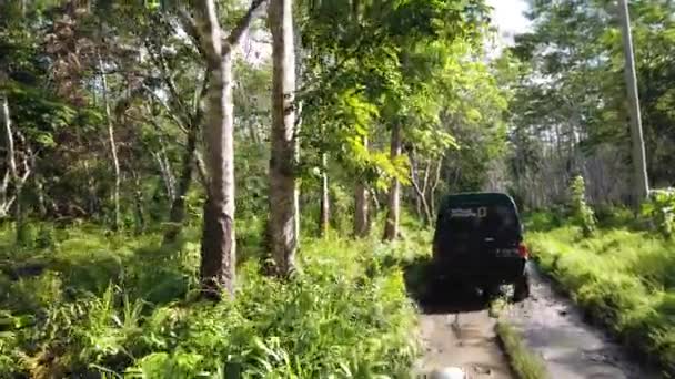 Veículo Que Atravessa Densas Florestas Tropicais Para Chegar Centro Conservação — Vídeo de Stock