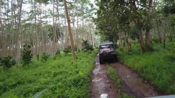 Veículos Atravessando Densas Florestas Tropicais Para Chegar Centro Conservação Tartarugas — Vídeo de Stock