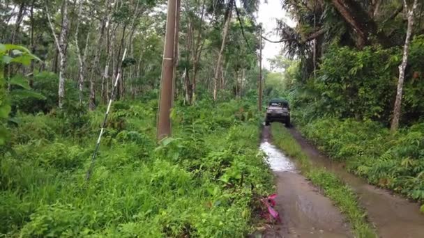 Pojazdy Przejeżdżające Przez Gęste Lasy Tropikalne Aby Dotrzeć Centrum Ochrony — Wideo stockowe