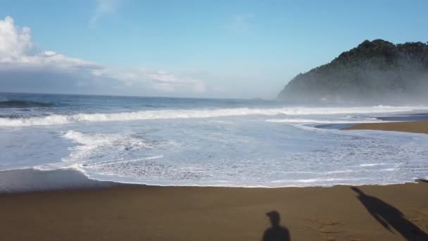 Pláž Sukumade Východním Jávě Indonésii Kde Nově Vylíhnuté Želvy Vylíhnou — Stock video