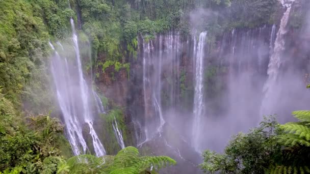 Tumpak Sewu También Conocido Como Coban Sewu Una Cascada Estratificada — Vídeos de Stock