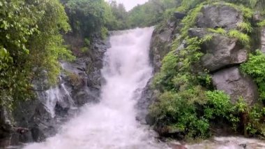 Konkan, Maharashtra, Hindistan 'daki Kumbharli ghat' ın başında muson şelalesinde.