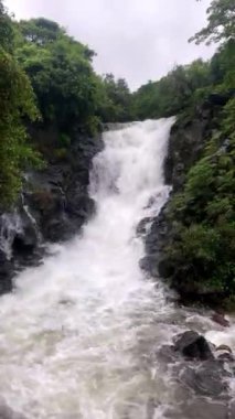 Konkan, Maharashtra, Hindistan 'daki Kumbharli ghat' ın başında muson şelalesinde.