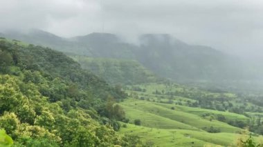 Hindistan, Maharashtra, Konkan yakınlarındaki Patan 'da muson mevsiminde yemyeşil manzara görüldü.