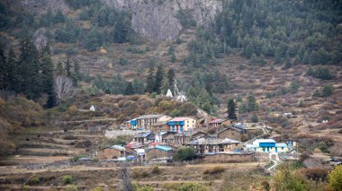 Vadideki güzel Himalaya kasabası ve Uttarakhand, Hindistan 'da çam ağaçları ile çevrili.