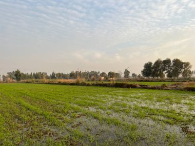 Şehrin güzel manzarası