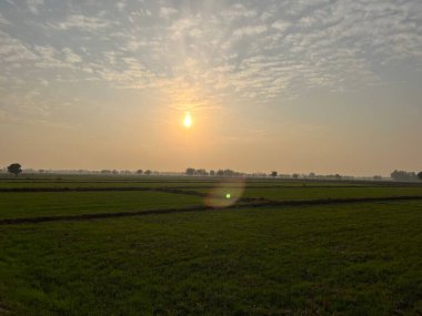 Tarlanın üzerinde güzel bir gün batımı