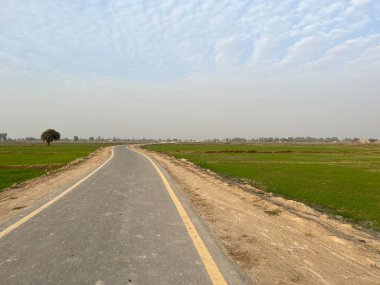 Kırsalda yol