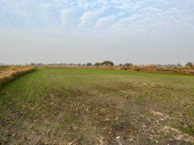 kırsal bir kırsal yol