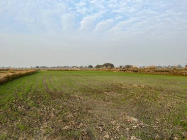 İlkbaharda kırsal alan