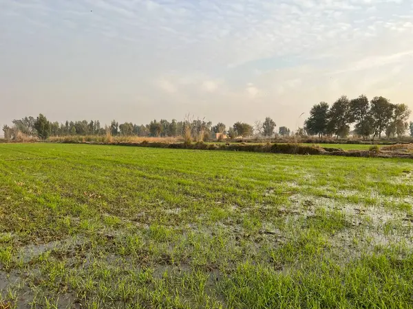 Kırsalda geniş bir yolu olan güzel bir manzara Ağacı ve gökyüzü olan