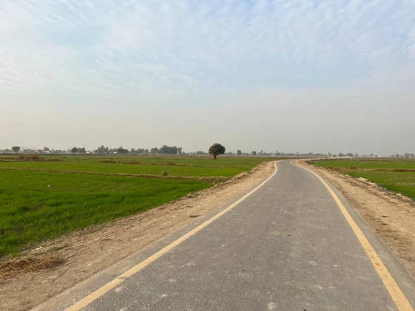 Çayırda boş bir yol