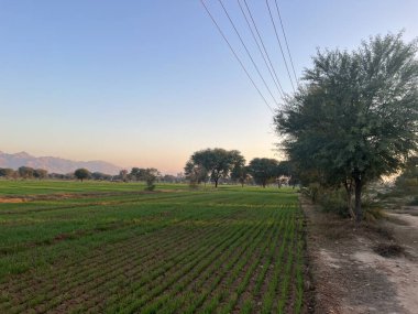 Kırsal manzarası çok güzel.